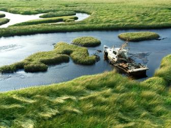 Everglades