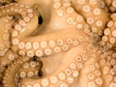Octopus up close in the kitchen of Paul Bartolotta's Las Vegas Restaurant at the Wynn
