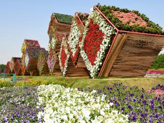 Dubai Miracle Garden