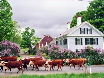 The Inn at Valley Farms, Walpole, New Hampshire