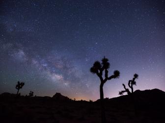 Stargazing at Joshua Tree National Park 