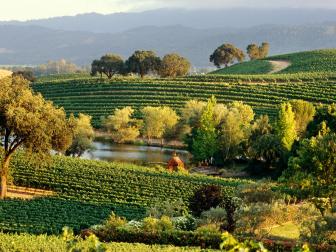 Quintessa Vineyard, Napa Valley, California, North America (Photo by Hoberman Collection/UIG via Getty Images)