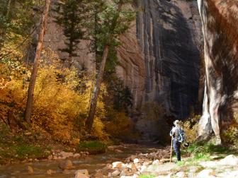 Zion National Park