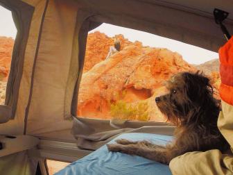 Morning in Valley of Fire in Nevada