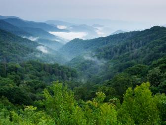 Great Smoky Mountains National Park, North Carolina