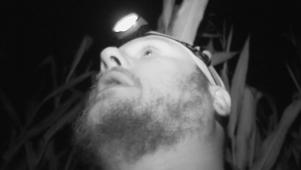 Alone in the Dark