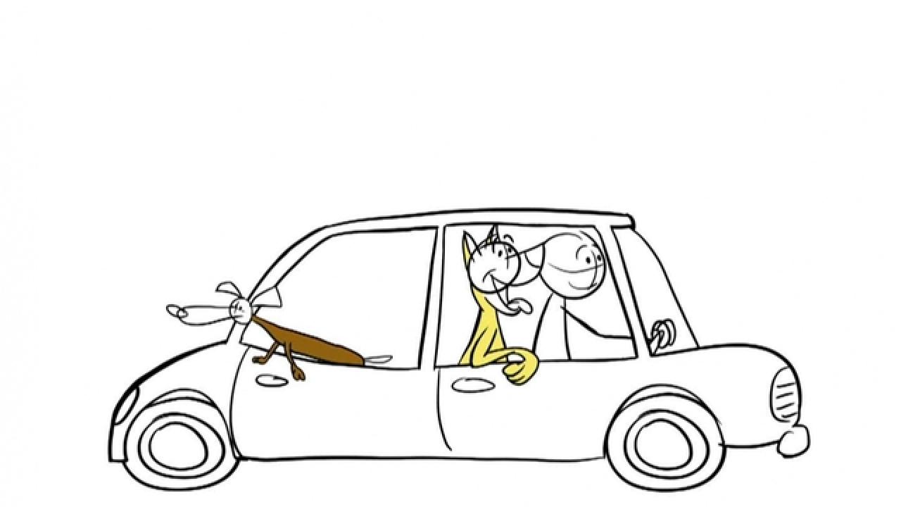 Road Tripping with Your Pet