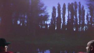 Now We're in the Dark