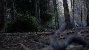 A Place to Hide