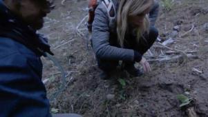 Expedition Bigfoot Recap - The Search Begins