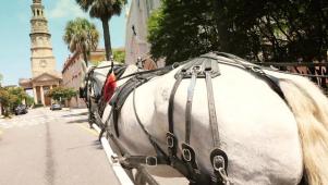 Charleston: Top 10 Locals List