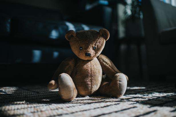 1036206384 Brown teddy bear, sitting in sun streams.