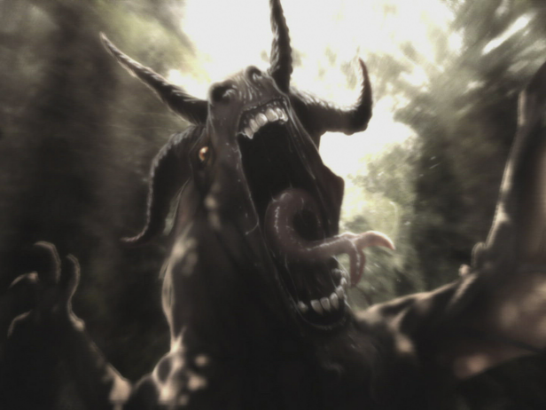 Jersey Devil: Monster in the Pines For over two centuries, something wicked has stalked the New Jersey Pine Barrens. Numerous sightings of an infernal chimera have sparked newspaper articles, scientific examinations, movie plots, and comic book characters. Now, new evidence has surfaced and revived the search for the truth behind the New Jersey Devil.